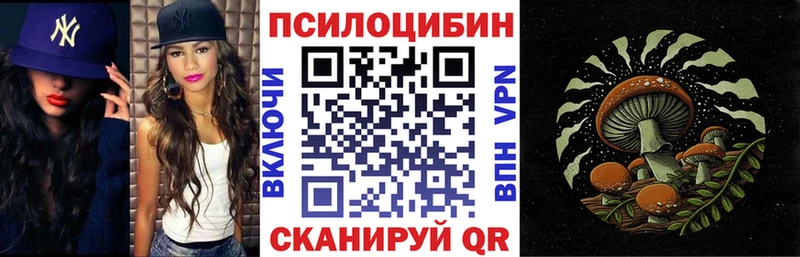 купить наркотик  Вельск  Псилоцибиновые грибы мицелий 